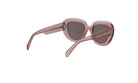 CELINE 3 DOTS BUTTERFLY SUNGLASSES - Jorge Oculista
