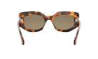 CELINE 3 DOTS BUTTERFLY SUNGLASSES - Jorge Oculista