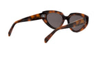 CELINE 3 DOTS CAT EYE SUNGLASSES - Jorge Oculista