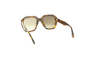 CELINE SQUARE SUNGLASSES - Jorge Oculista