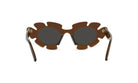 CURVY CAT EYE SUNGLASSES - Jorge Oculista
