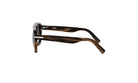 A pair of dark-framed sunglasses with a sleek, modern design.