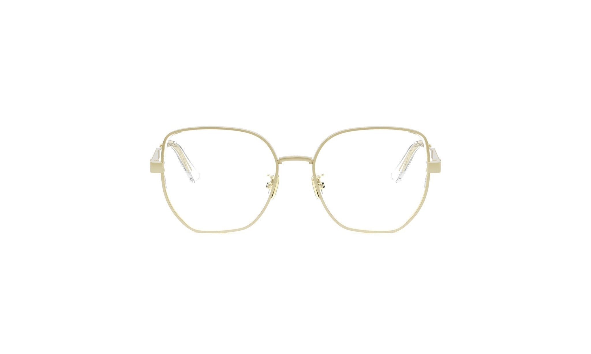 DIORCANNAGEO B2U BUTTERFLY EYEGLASSES - Jorge Oculista