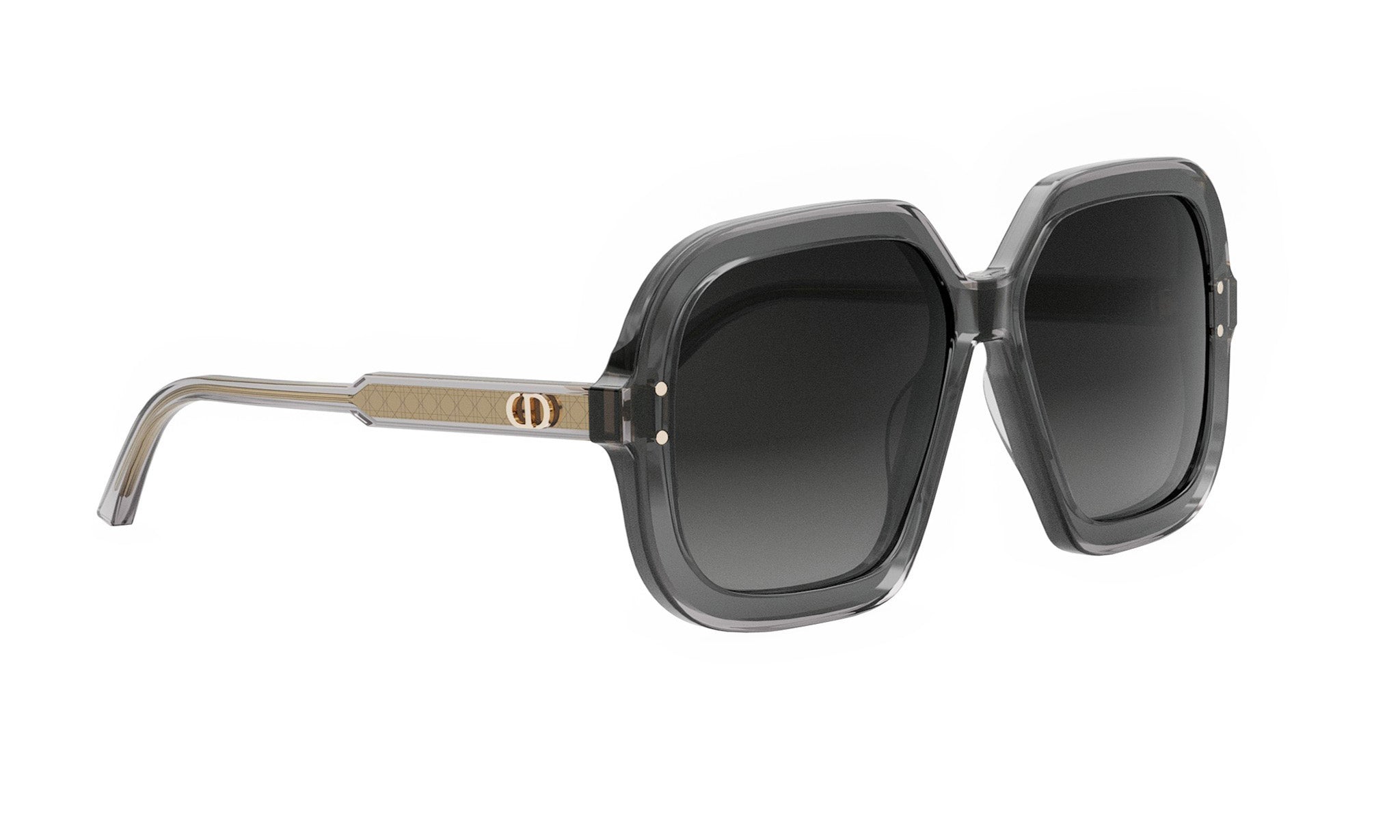 DIORHIGHLIGHT S1I SQUARE SUNGLASSES - Jorge Oculista