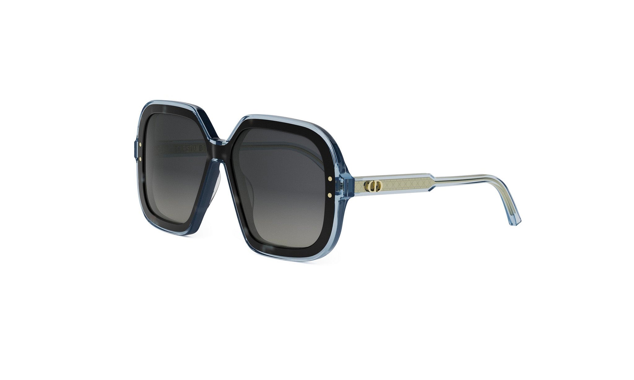 DIORHIGHLIGHT S1I SQUARE SUNGLASSES - Jorge Oculista