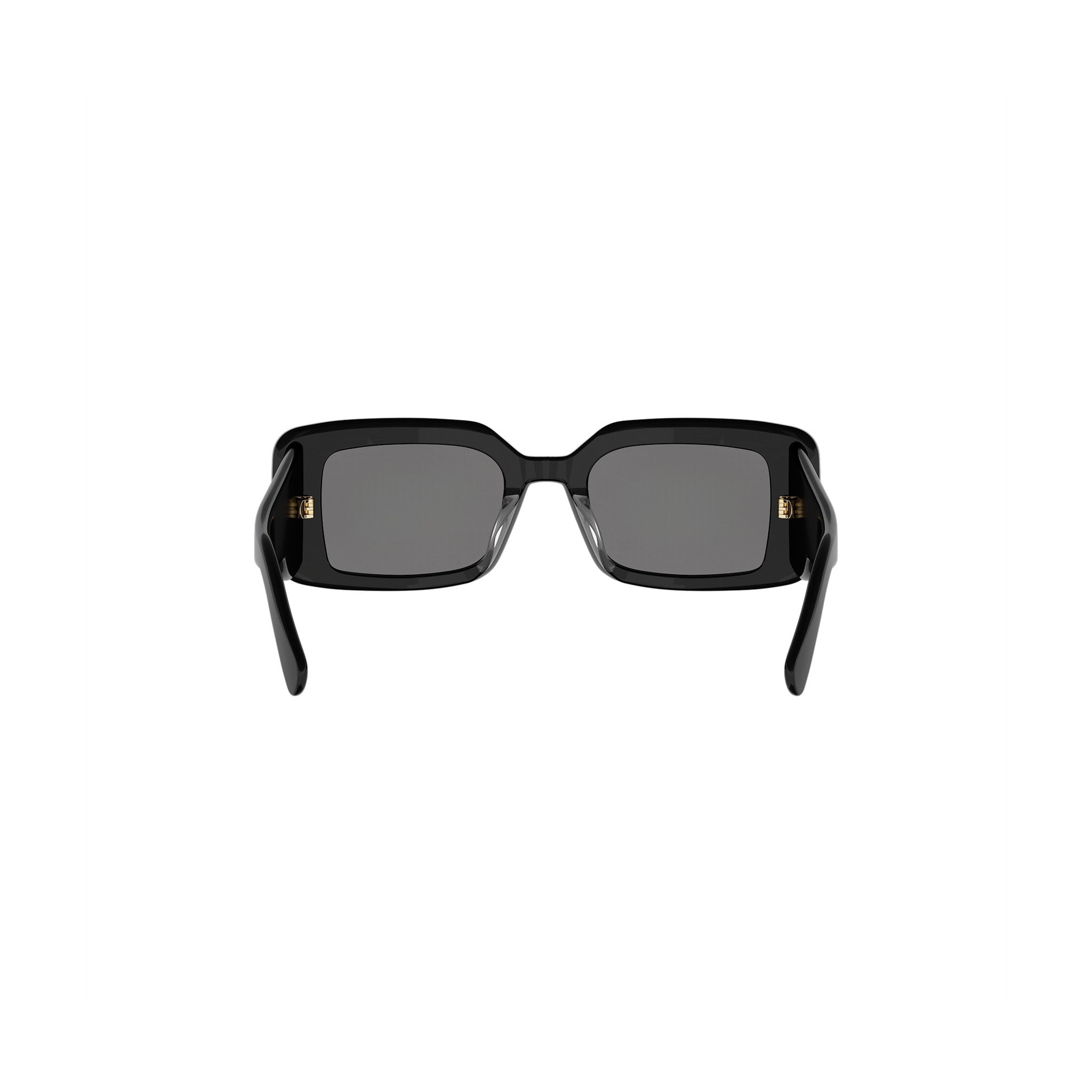 DIORLUCKYCHARMS S1I RECTANGULAR SUNGLASSES - Jorge Oculista