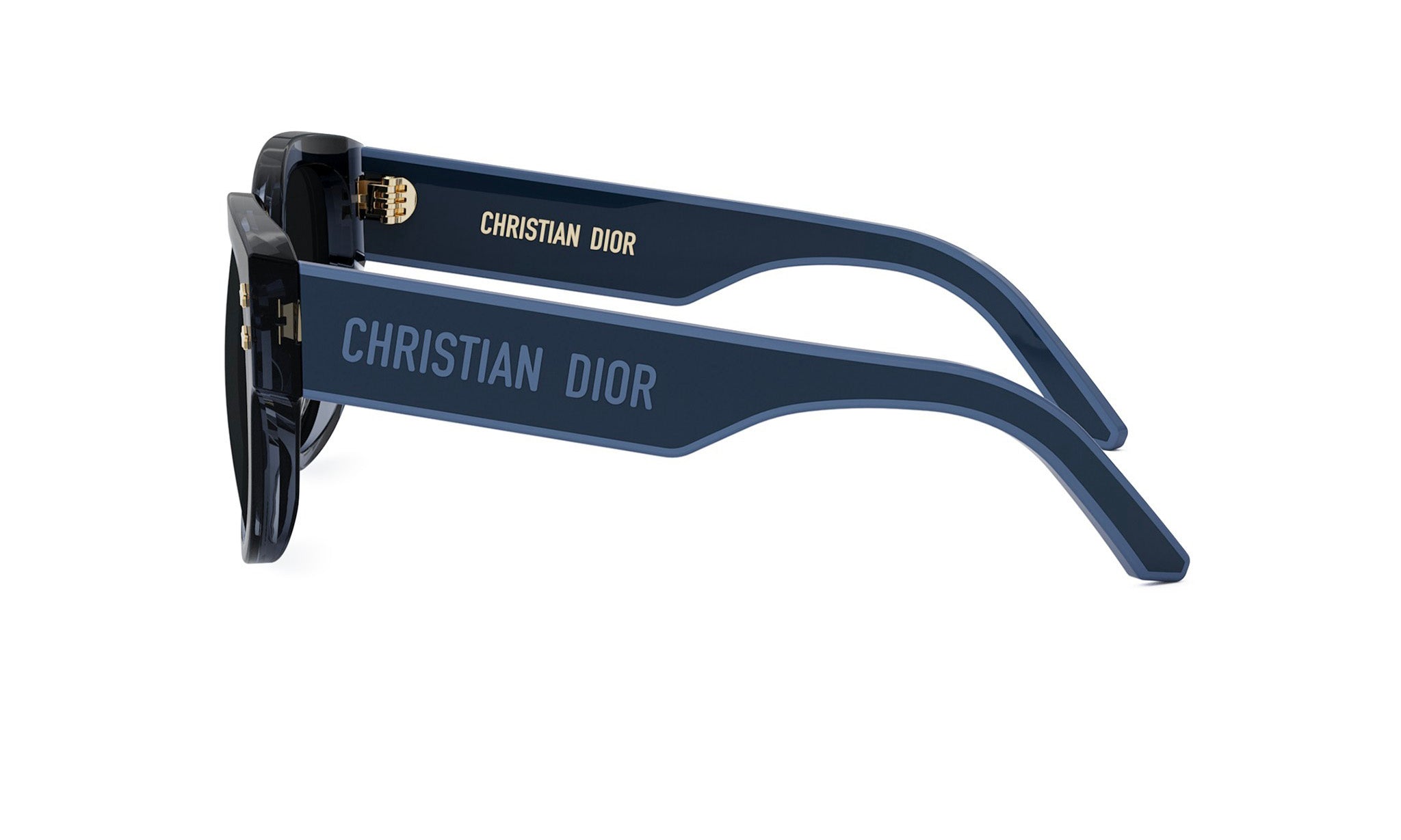DIORPACIFIC B2I BUTTERFLY SUNGLASSES - Jorge Oculista