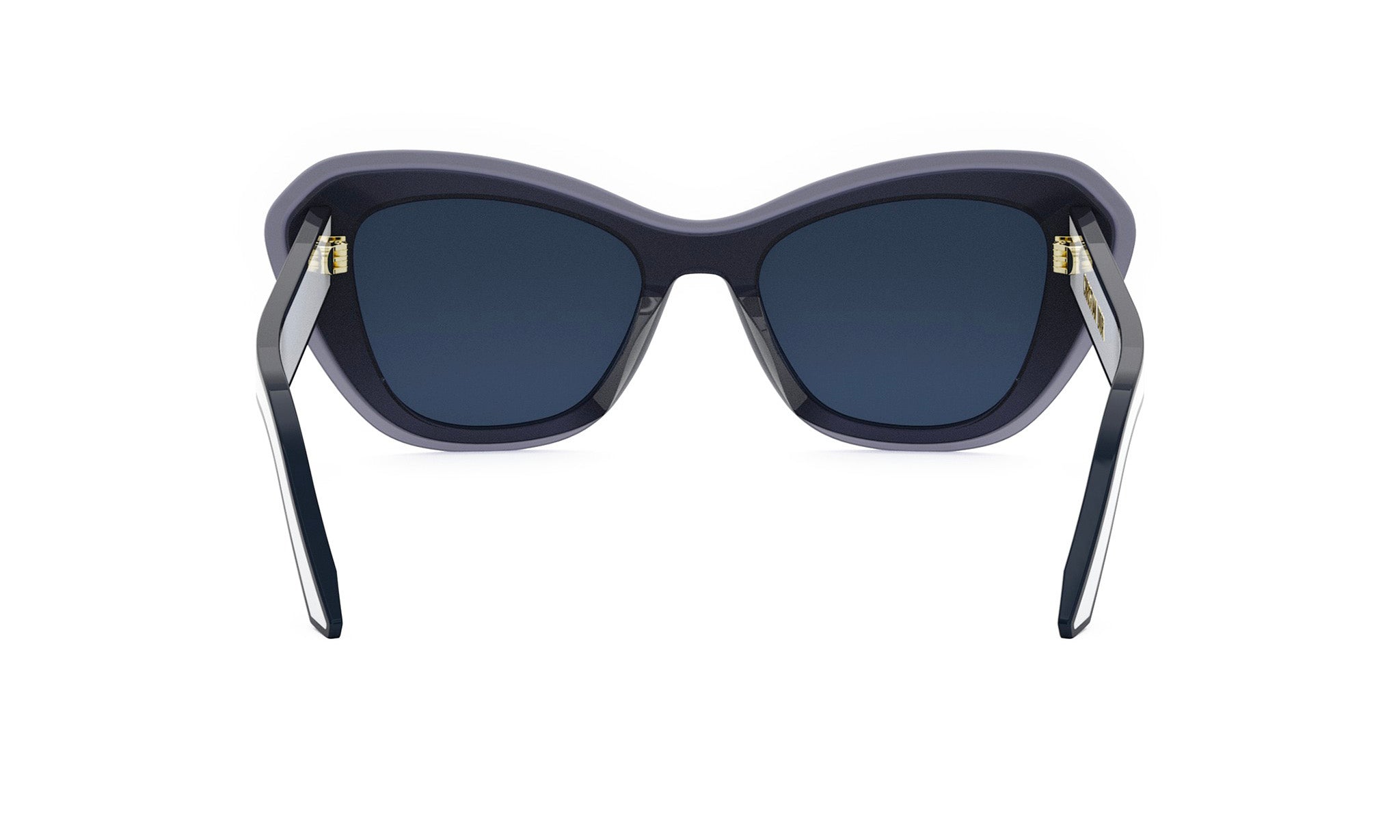 DIORPACIFIC B3U BUTTERFLY SUNGLASSES - Jorge Oculista