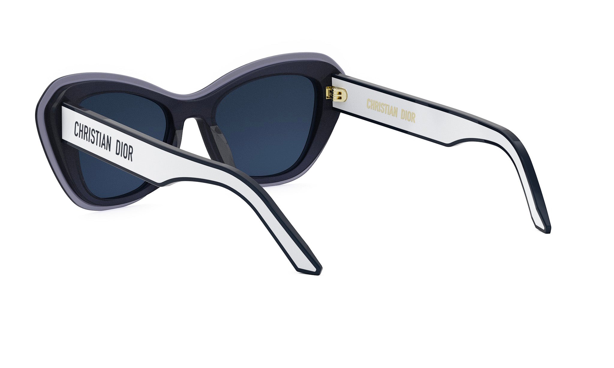 DIORPACIFIC B3U BUTTERFLY SUNGLASSES - Jorge Oculista