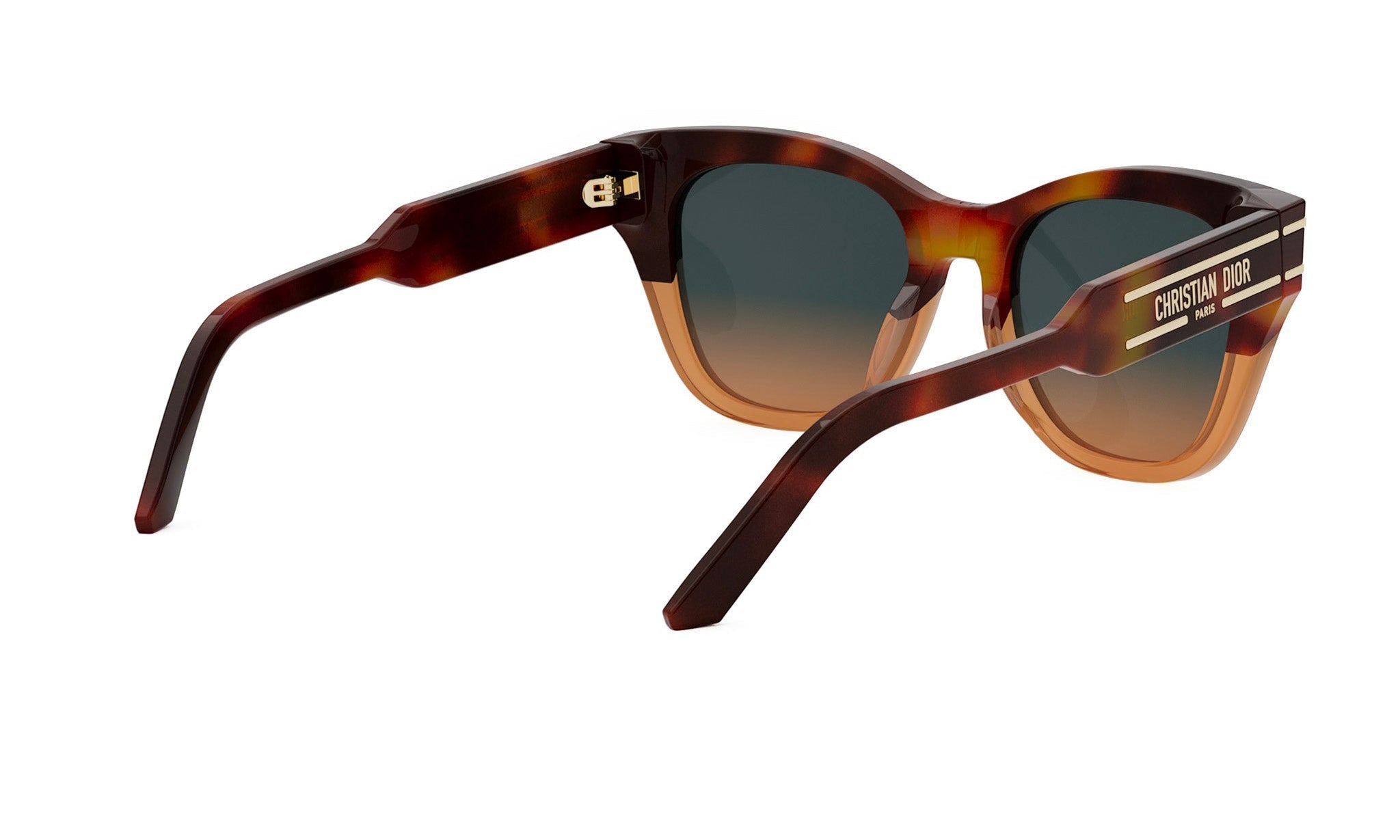 DIORSIGNATURE B4I BUTTERFLY SUNGLASSES - Jorge Oculista