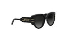 DIORSIGNATURE R2I BUTTERFLY SUNGLASSES - Jorge Oculista