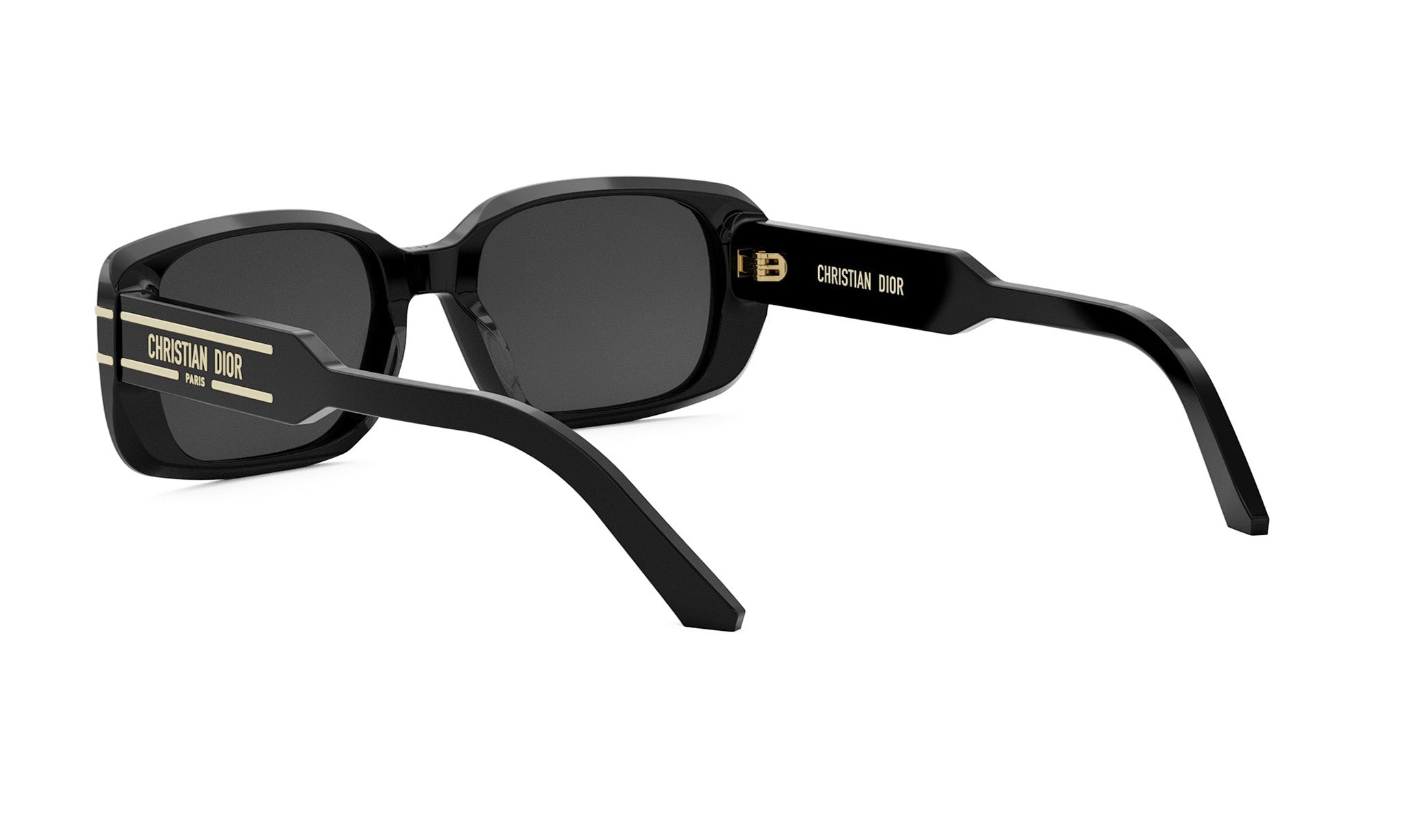 DIORSIGNATURE S12I RECTANGULAR SUNGLASSES - Jorge Oculista