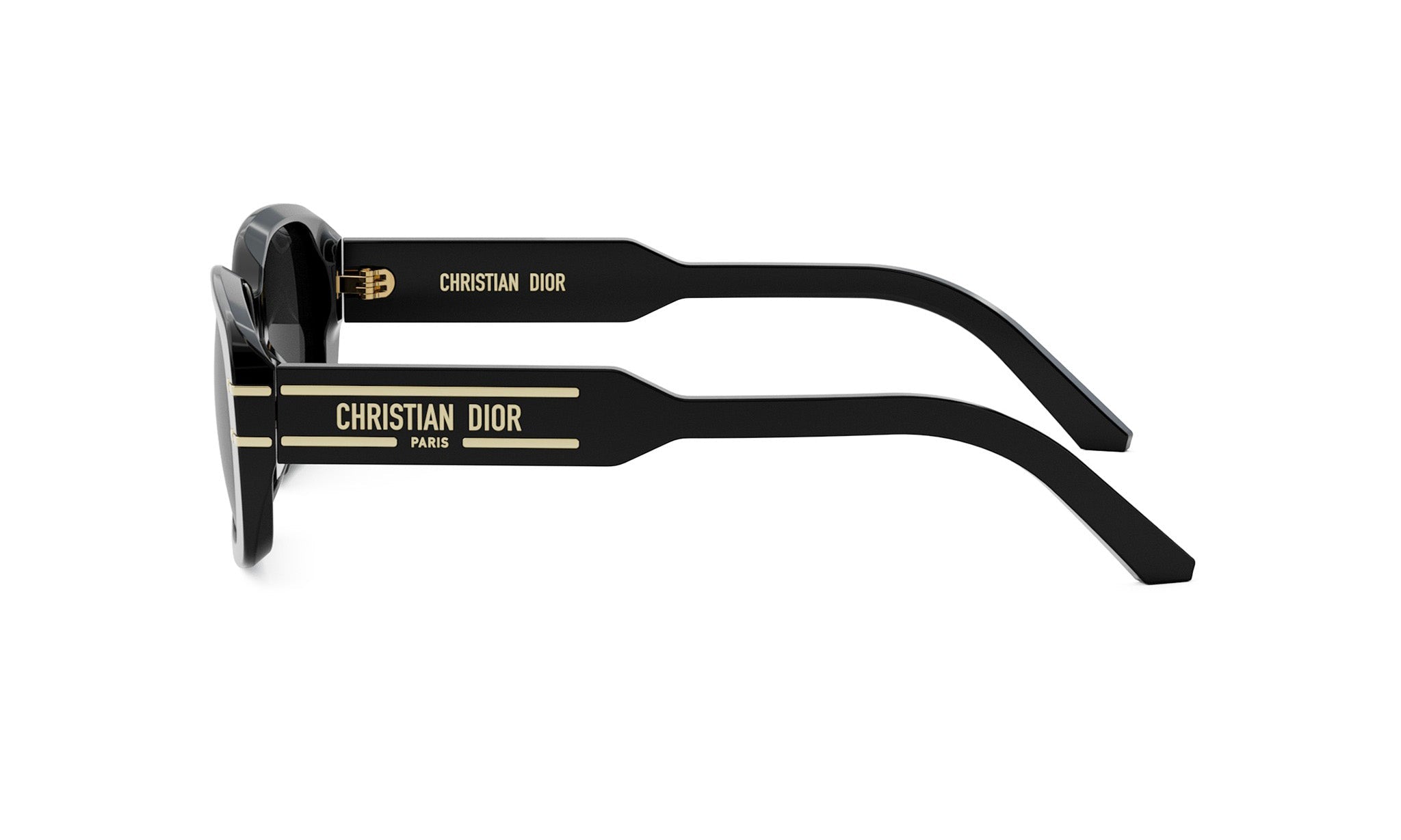 DIORSIGNATURE S12I RECTANGULAR SUNGLASSES - Jorge Oculista