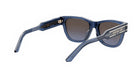 DIORSIGNATURE S6U BUTTERFLY SUNGLASSES - Jorge Oculista