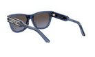 DIORSIGNATURE S6U BUTTERFLY SUNGLASSES - Jorge Oculista