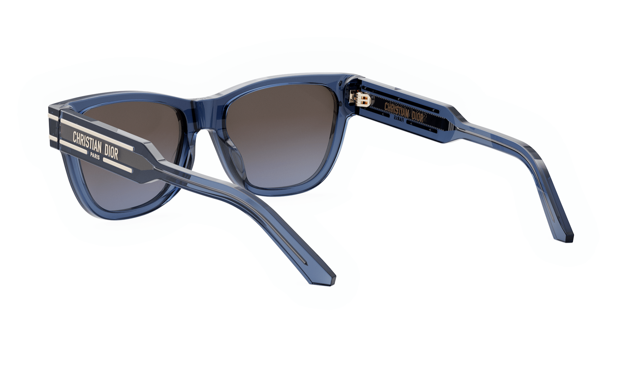 DIORSIGNATURE S6U BUTTERFLY SUNGLASSES - Jorge Oculista