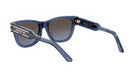 DIORSIGNATURE S6U BUTTERFLY SUNGLASSES - Jorge Oculista
