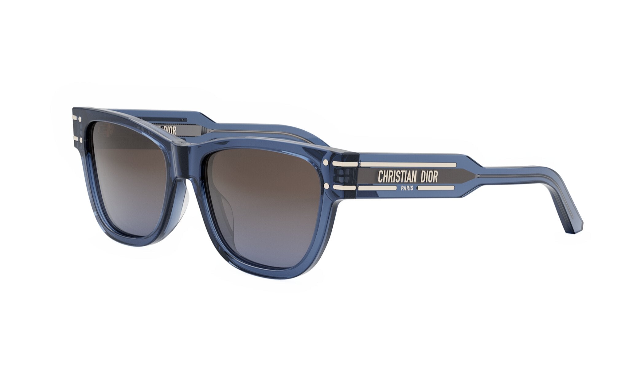 DIORSIGNATURE S6U BUTTERFLY SUNGLASSES - Jorge Oculista