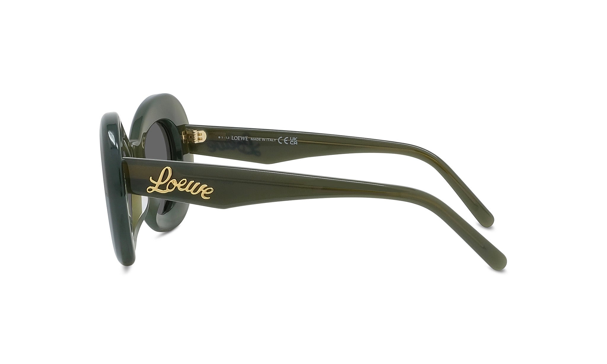 A pair of dark green sunglasses with the word "Loise" printed on the frame.