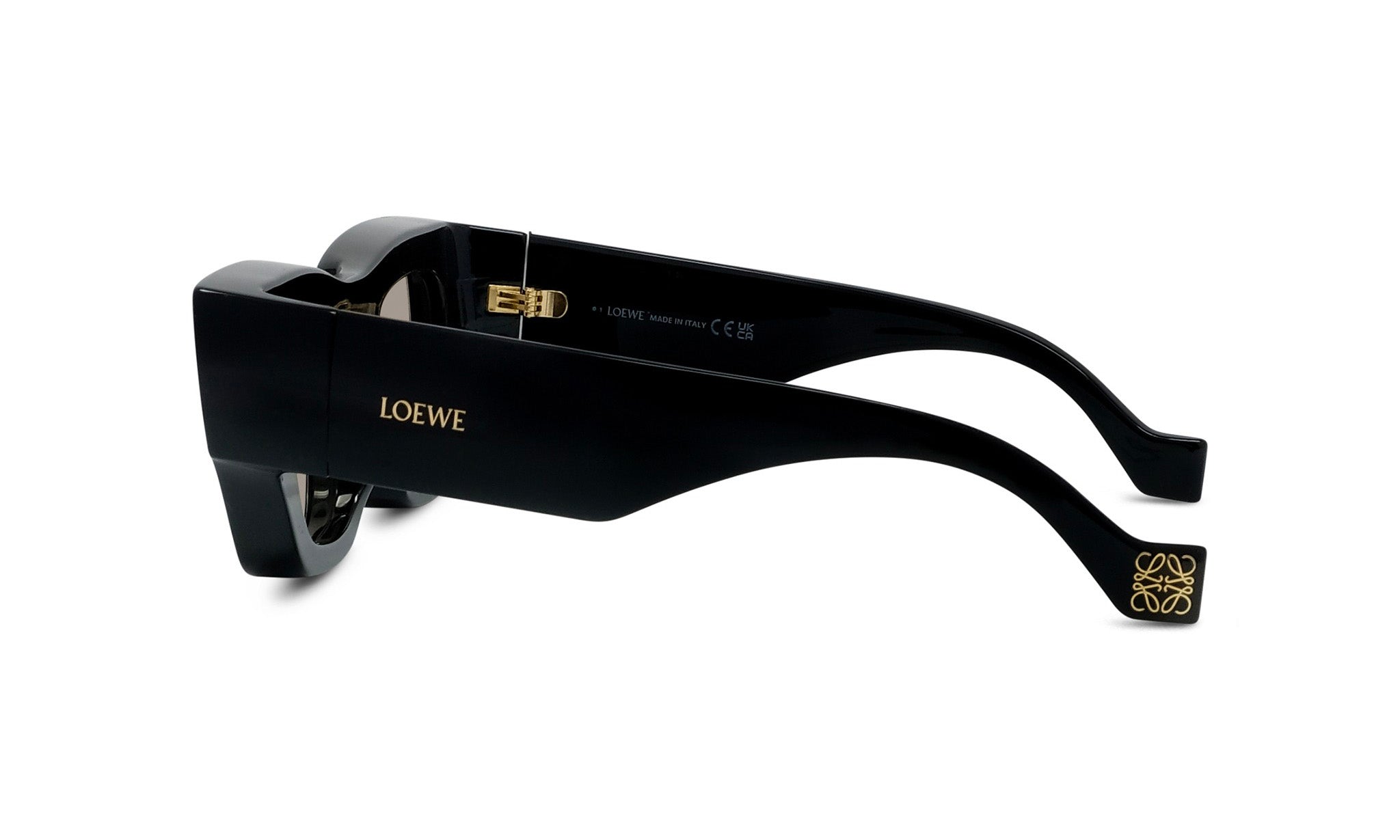 A pair of black sunglasses with gold accents, featuring the LEOWE brand name prominently displayed on the frame.