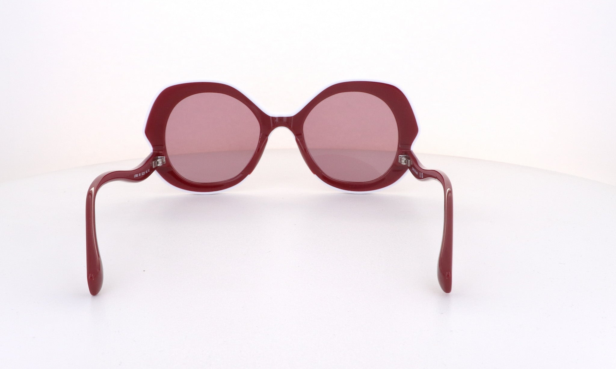 LONGCHAMP 780 - Jorge Oculista