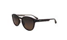 MAUI JIM MJ HS636 - Jorge Oculista