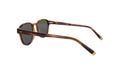 MOSCOT M ARTHUR - Jorge Oculista