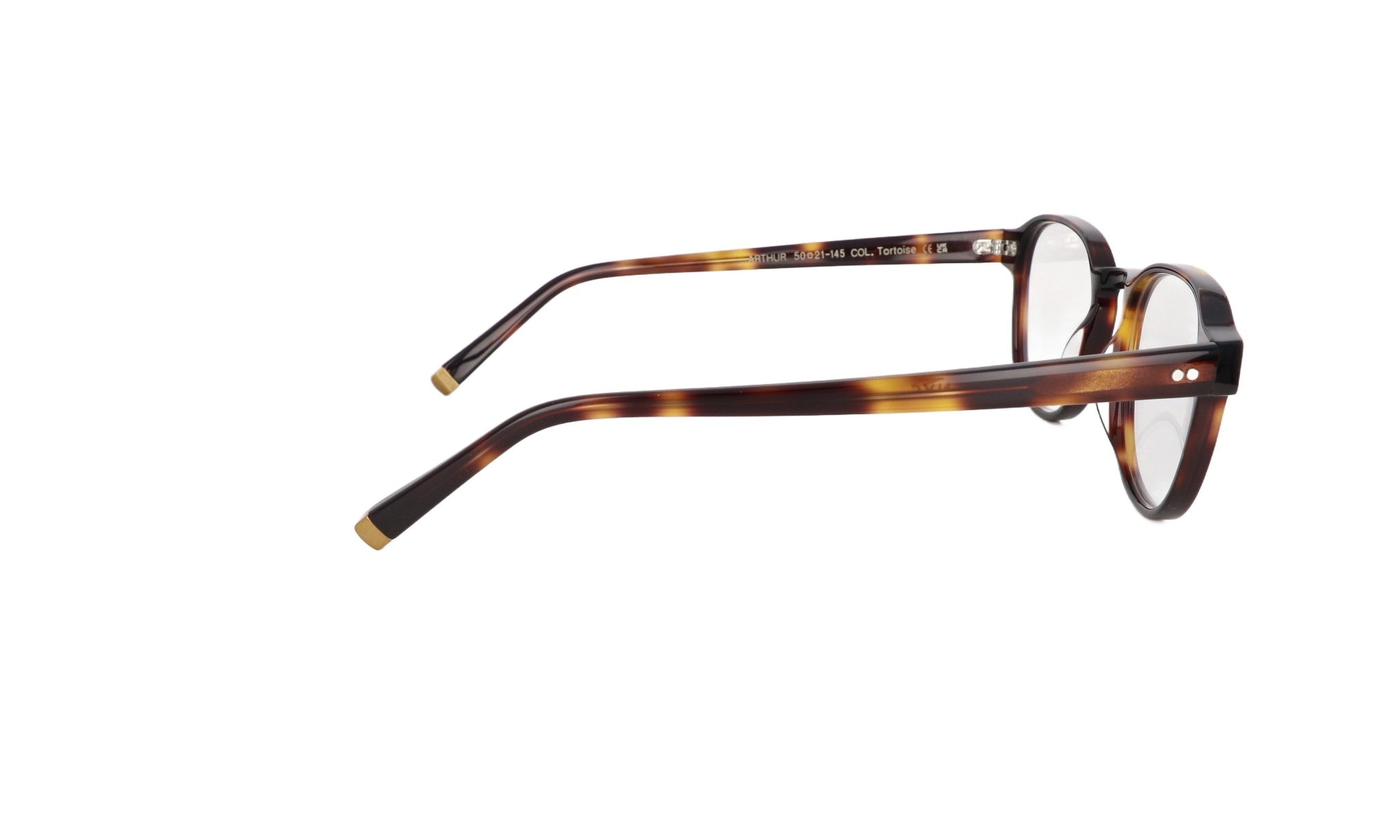 MOSCOT M ARTHUR - Jorge Oculista