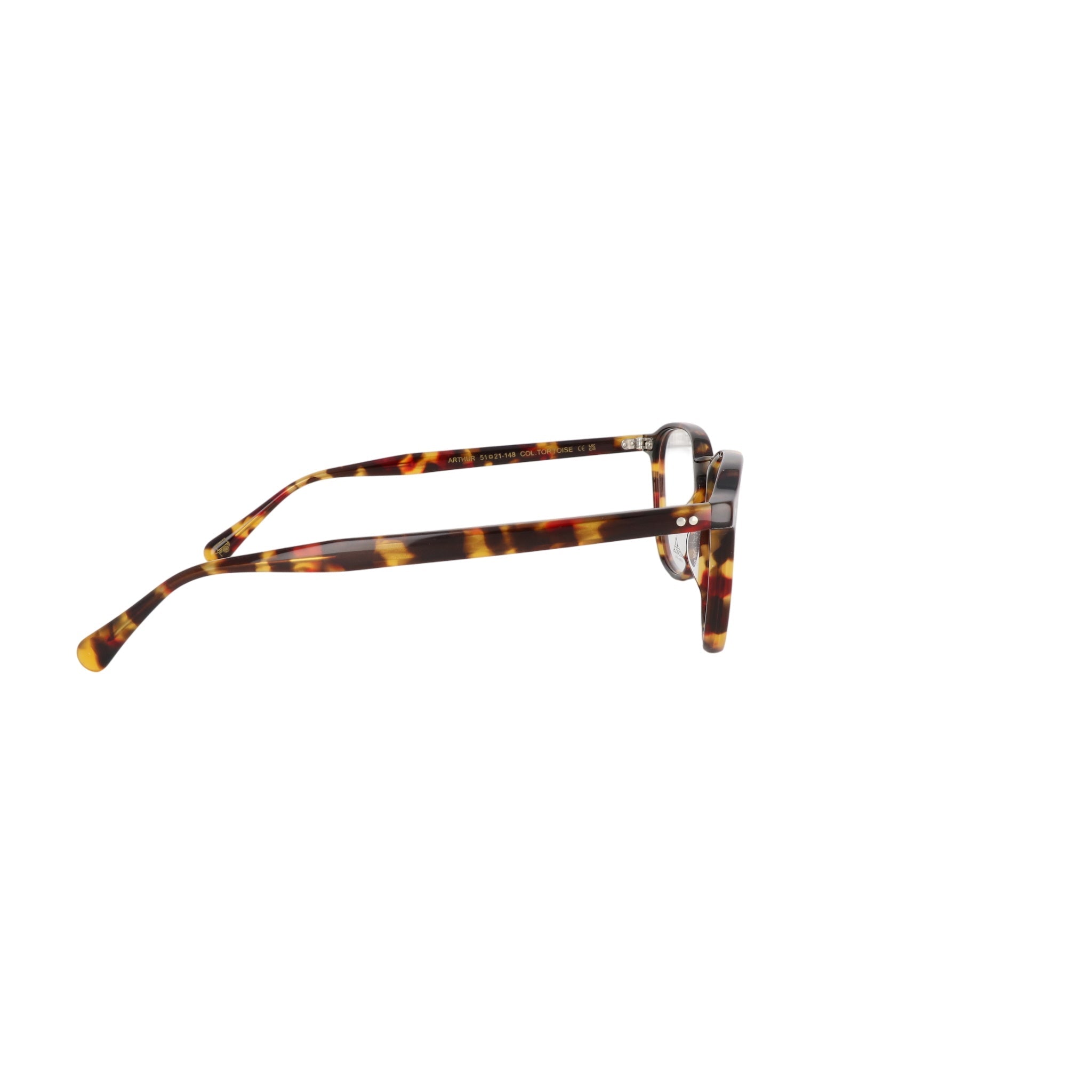 MOSCOT M ARTHUR NV - Jorge Oculista