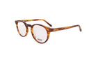 MOSCOT M FRANKIE - Jorge Oculista