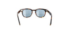 MOSCOT M GELT - Jorge Oculista