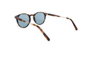 MOSCOT M GOLDA - Jorge Oculista