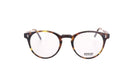MOSCOT M GOLDA - Jorge Oculista