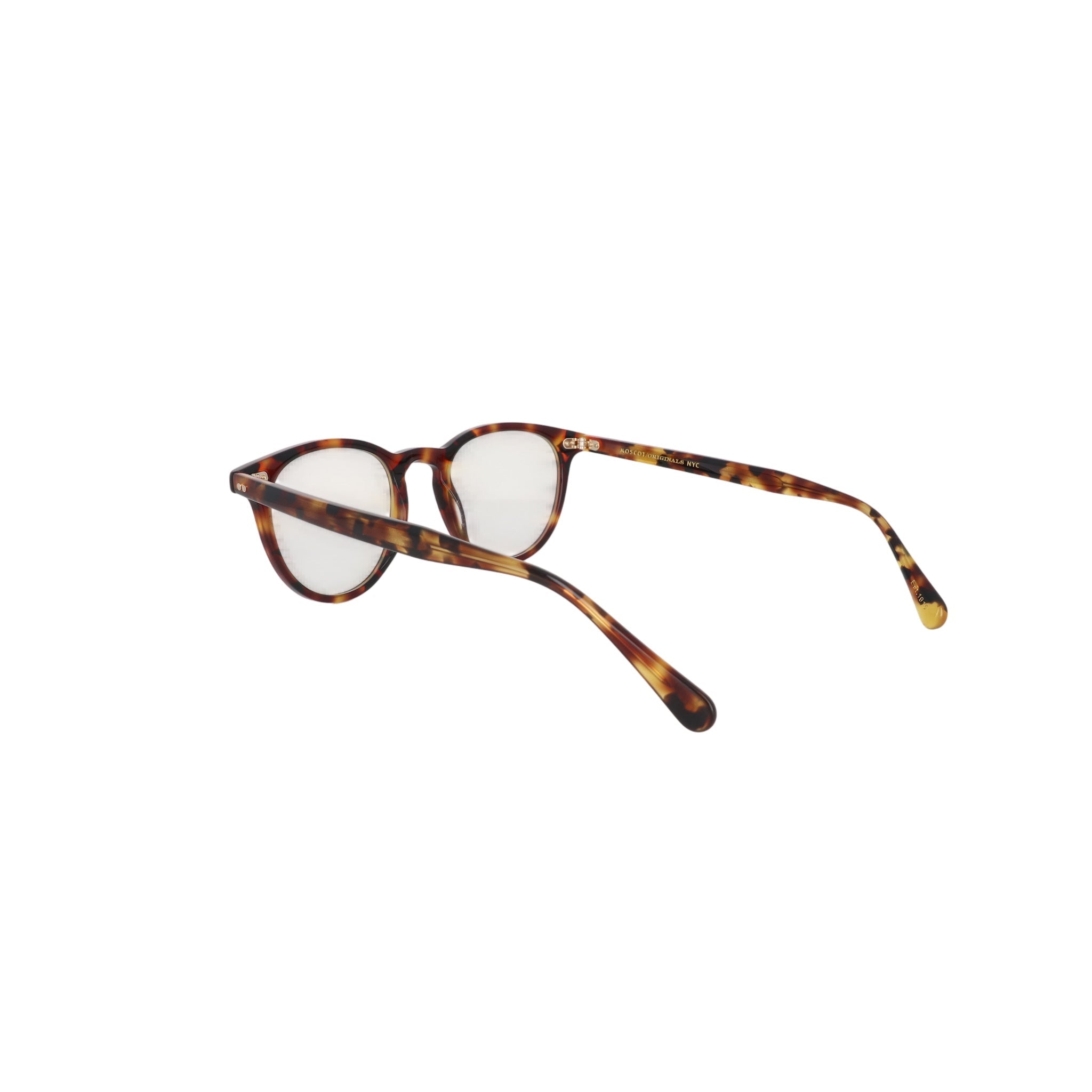 MOSCOT M JARED NV - Jorge Oculista