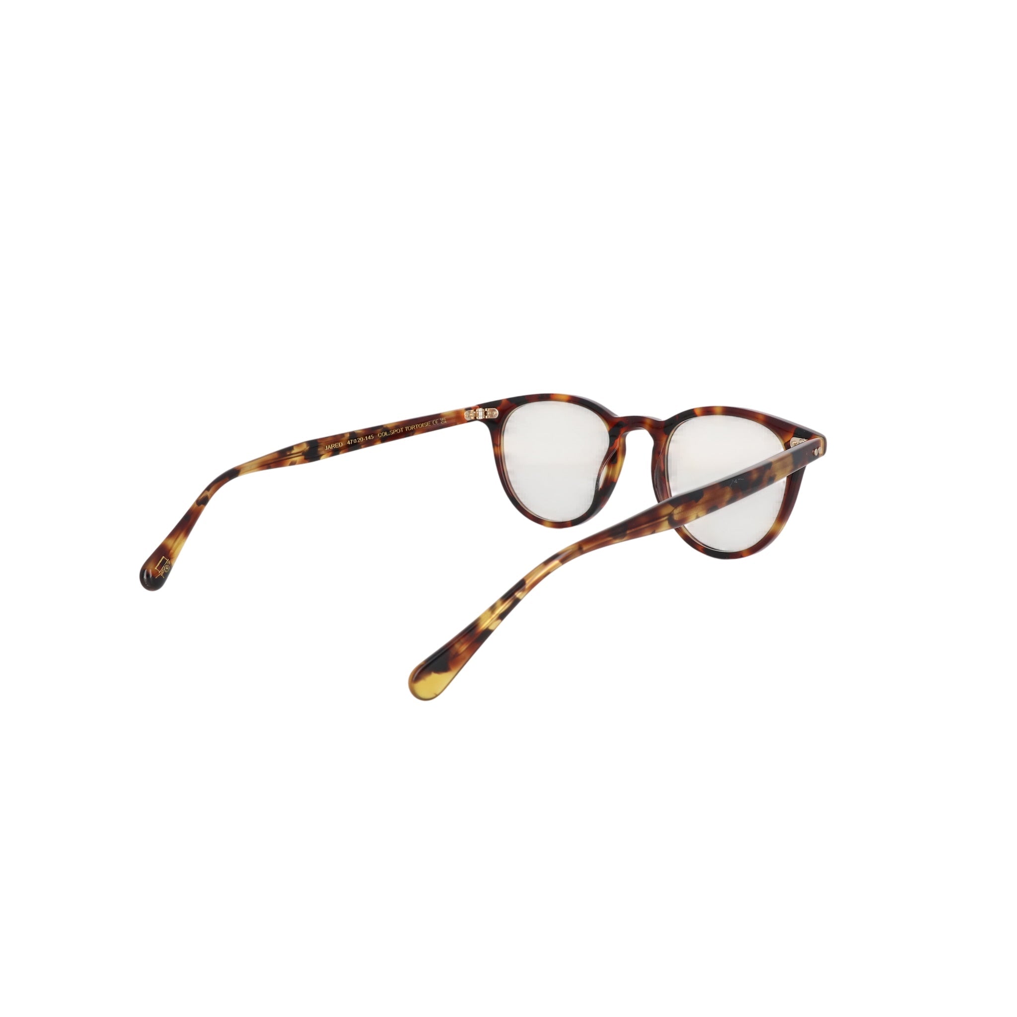 MOSCOT M JARED NV - Jorge Oculista