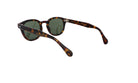 MOSCOT M LEMTOSH - Jorge Oculista
