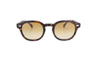 MOSCOT M LEMTOSH - Jorge Oculista