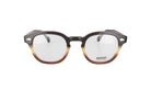 MOSCOT M LEMTOSH - Jorge Oculista