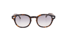 MOSCOT M LEMTOSH - Jorge Oculista