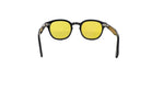 MOSCOT M LEMTOSH BASE 2 - Jorge Oculista