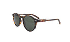 MOSCOT M MILTZEN - Jorge Oculista
