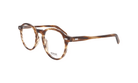 MOSCOT M MILTZEN - Jorge Oculista