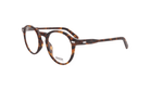 MOSCOT M MILTZEN - Jorge Oculista