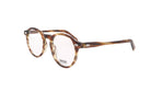 MOSCOT M MILTZEN - Jorge Oculista