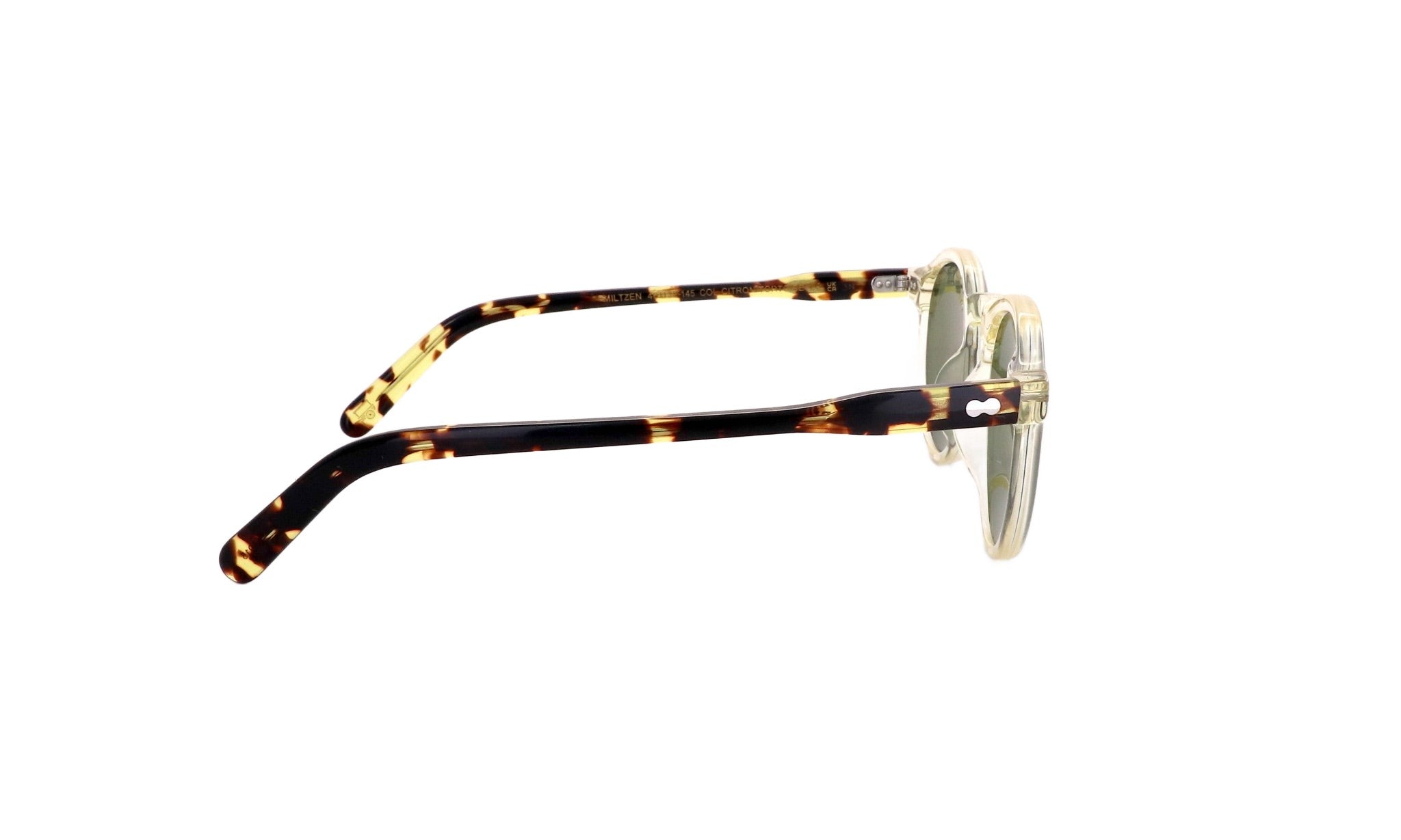 MOSCOT M MILTZEN - Jorge Oculista