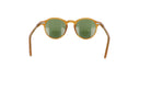 MOSCOT M MILTZEN - Jorge Oculista