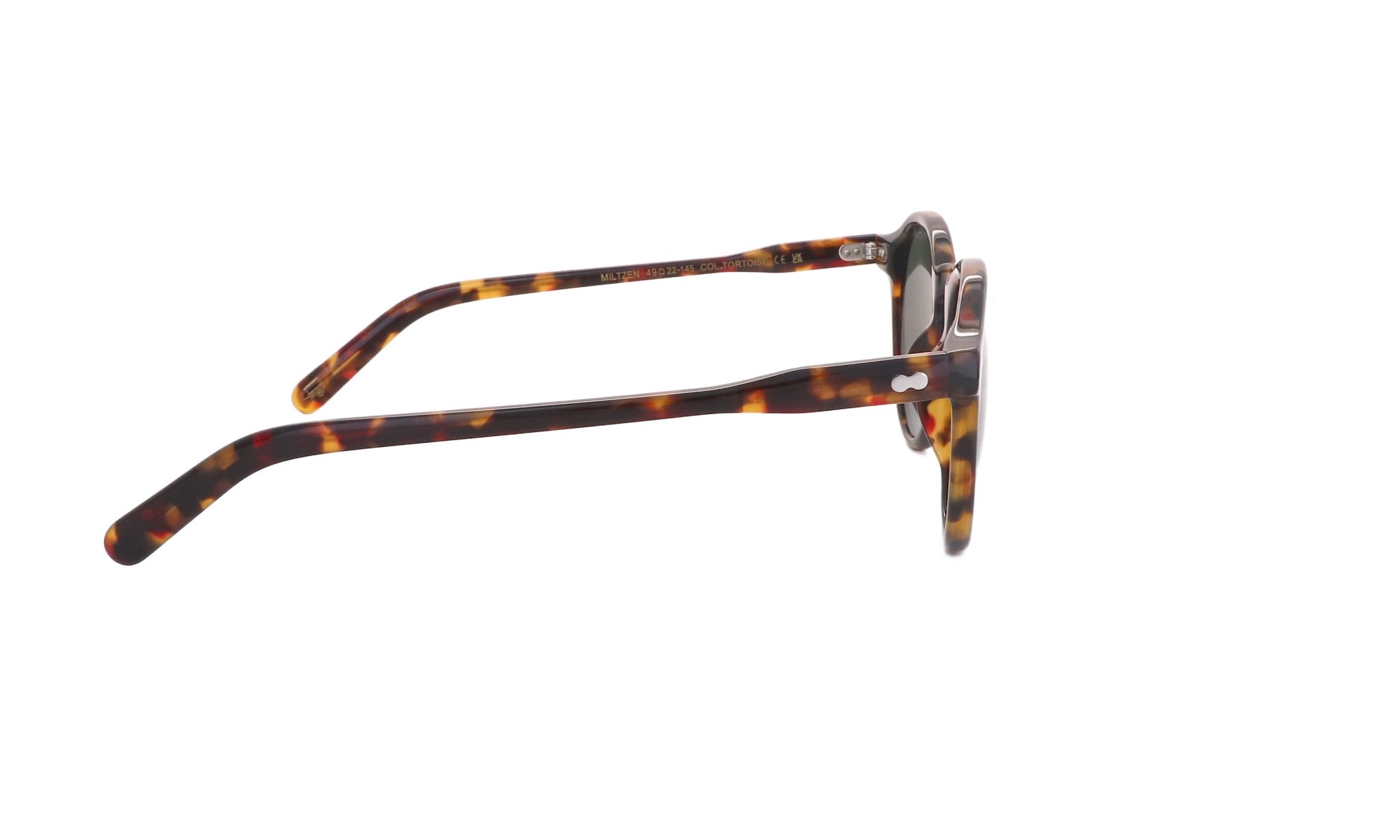 MOSCOT M MILTZEN - Jorge Oculista