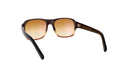 MOSCOT M SHVITZ - Jorge Oculista