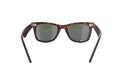 RAY - BAN RB 2140 Wayfarer - Jorge Oculista