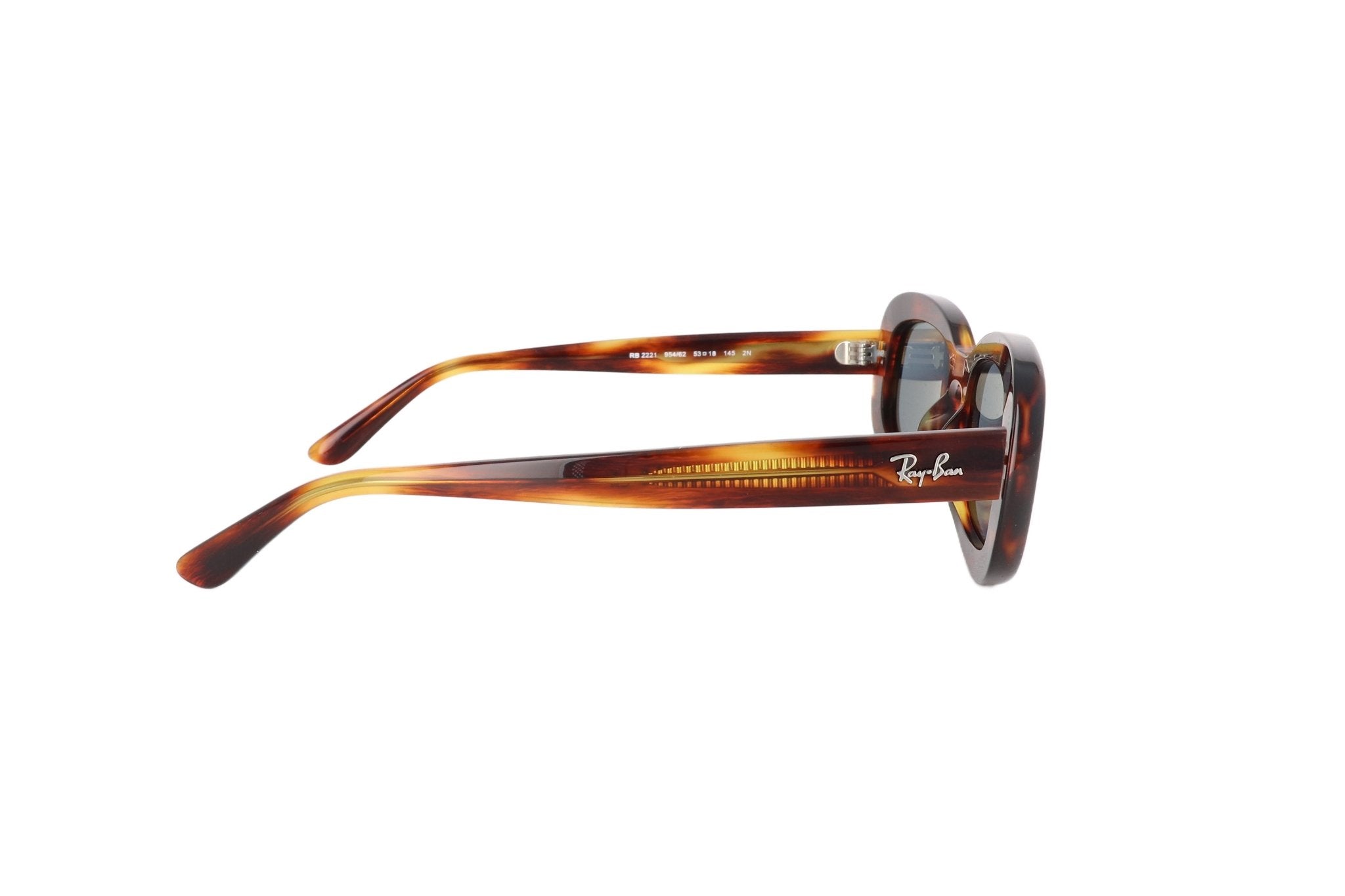 RAY - BAN RB 2221 - Jorge Oculista